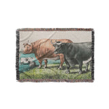 Prize Fat Cattle in Small (37" x 52") Size