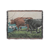 Prize Fat Cattle in Medium (50" x 60") Size