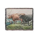 Prize Fat Cattle in Medium (50" x 60") Size