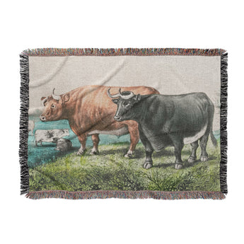 Prize Fat Cattle in Large (80" x 60") Size
