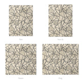 Harlan Ivory & Black Mockup Comforter Sizing